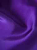 Silk Habotai V Neck Top | Purple