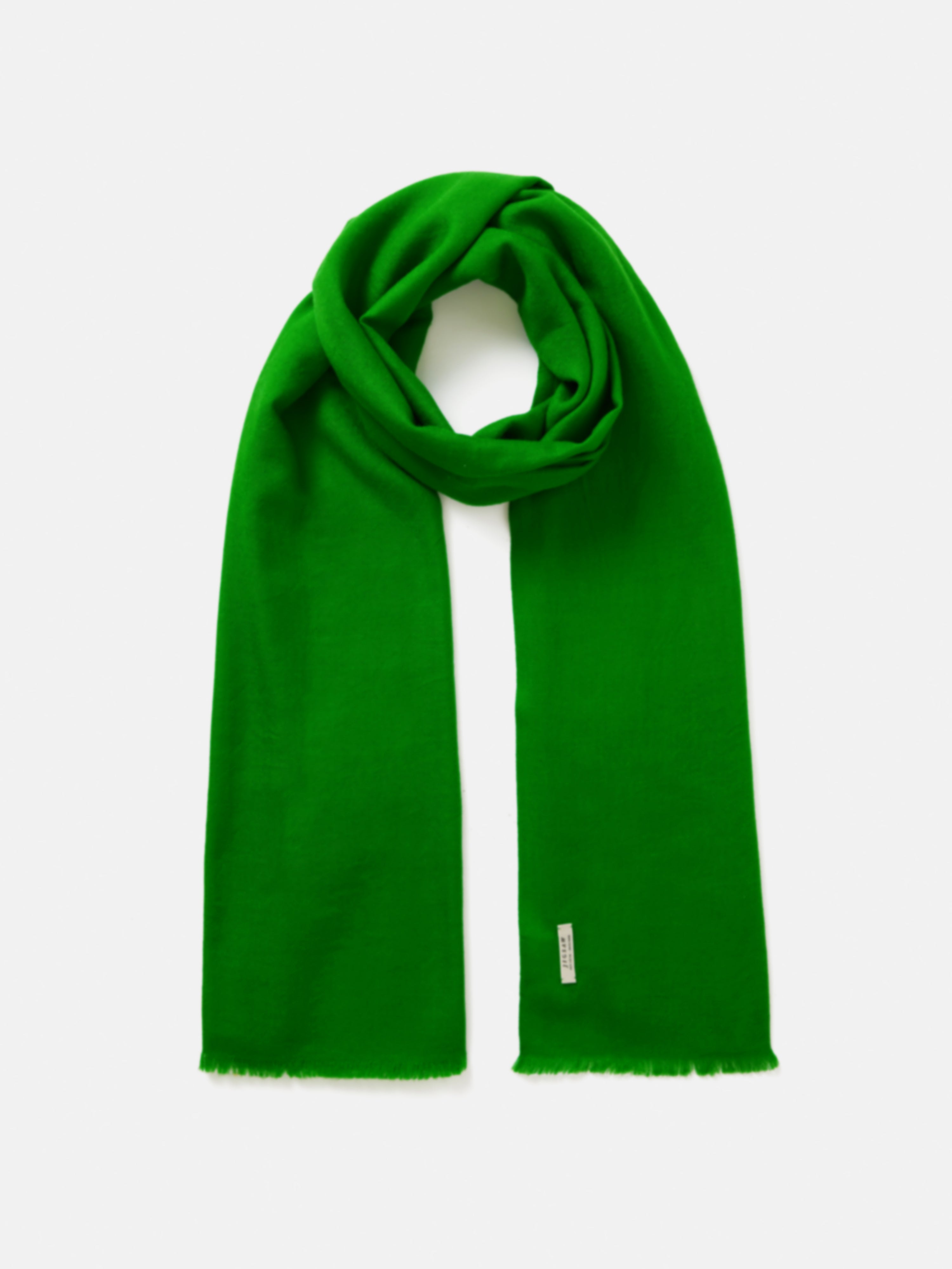 Wool Silk Pashmina | Green – Jigsaw