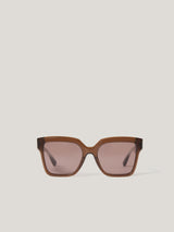 Maldon D-frame Sunglasses | Chocolate