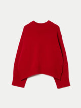 Wool Cashmere Chunky Jumper | Red