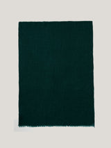 Pure Cashmere Gauze Scarf | Green
